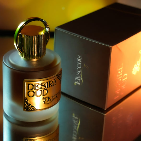3 x Perfumes Deal (Save AED 65)